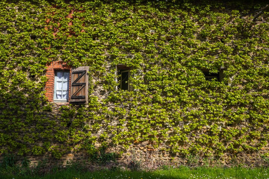 Escapade en Bourgogne : dormir au milieu des vignes